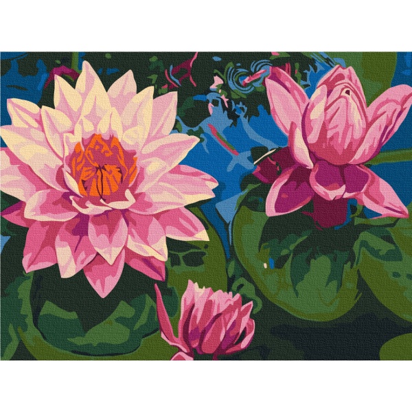 Картина за номерами Водяне латаття RBS7282