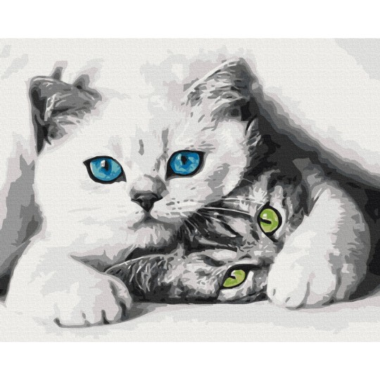 Муркотики