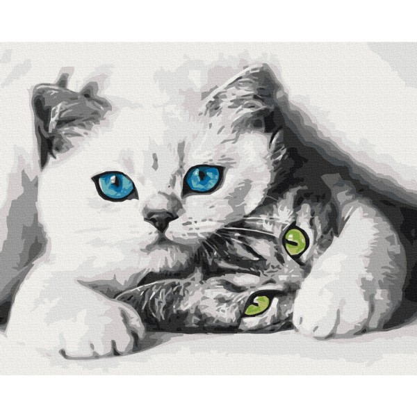 Муркотики