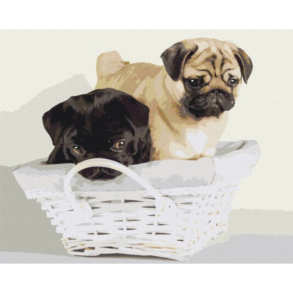 Дружочки в корзині