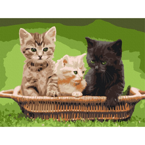Картина за номерами Кошенята в корзині RBS52621