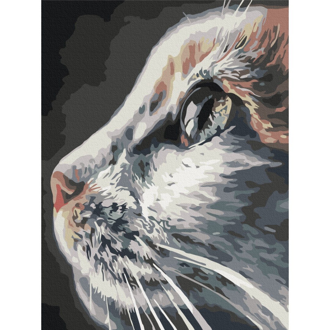 Профіль кота