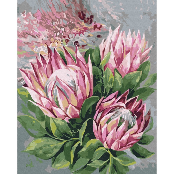 Рожеві протеї