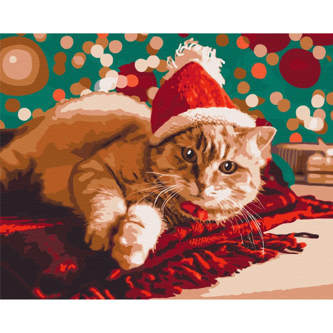 Картина по номерам Санта котик