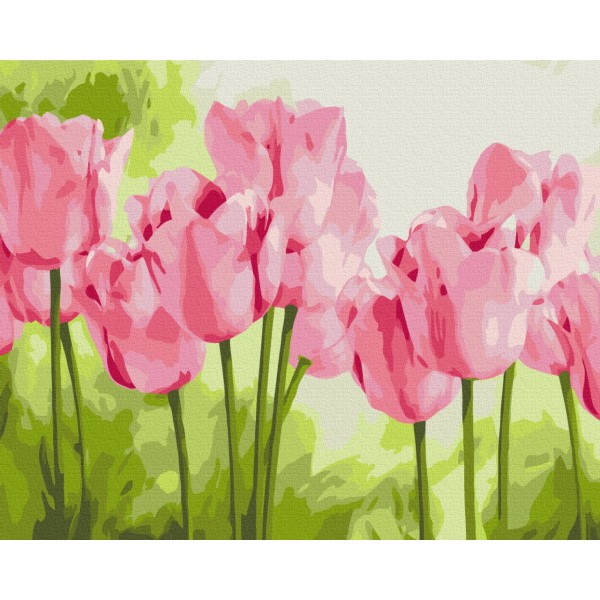 Картина за номерами Ніжні тюльпани BS31435