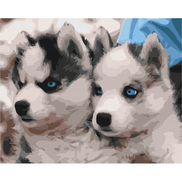 Картина за номерами Цуценята хаскі BS3797