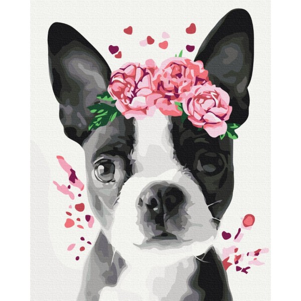 Картина за номерами Бостон тер'єр у віночку BS26782