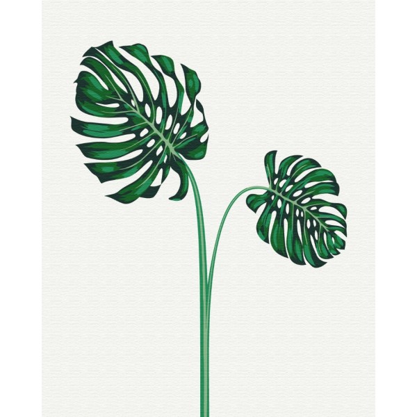 Тропіки № 3 - BS53669