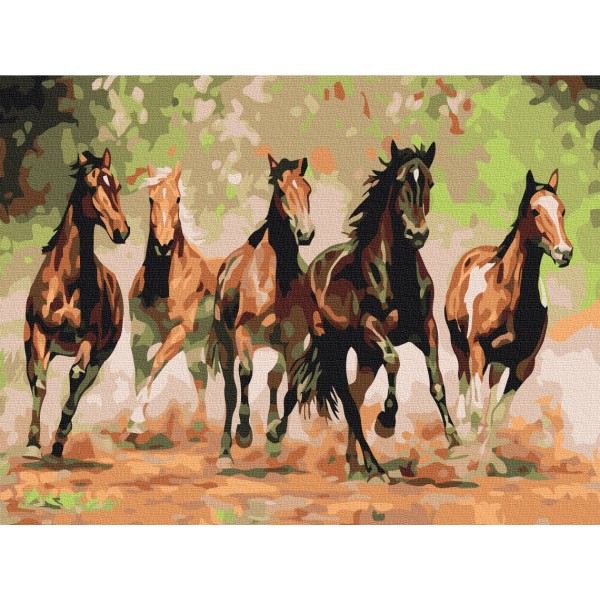 Картина за номерами Табун коней RBS8288