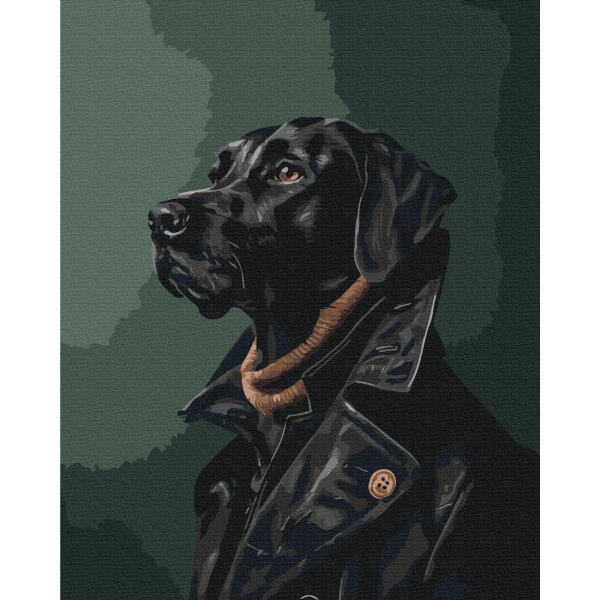 Картина за номерами Джентльмен в тренчі BS53932