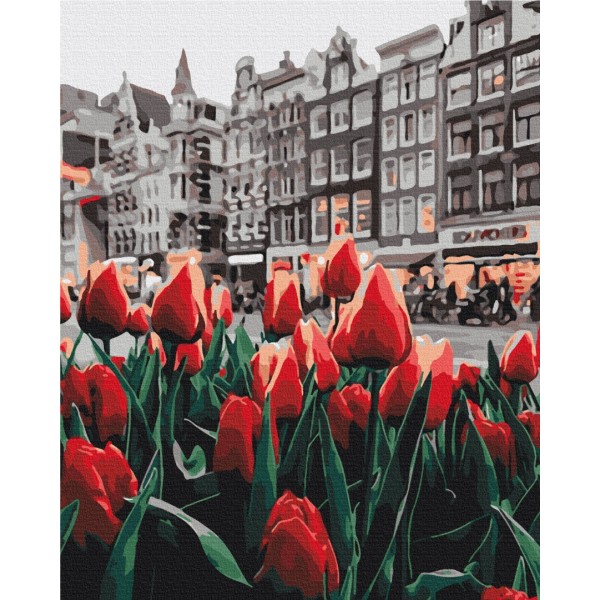 Тюльпани Амстердаму