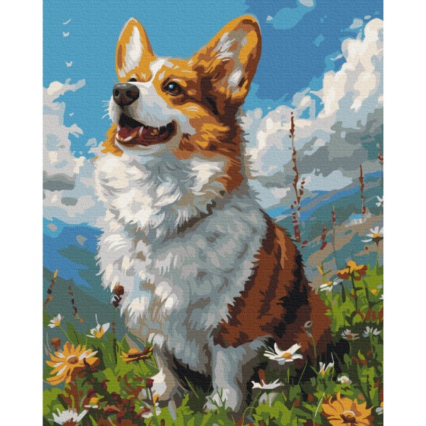 Сонячний Коргі