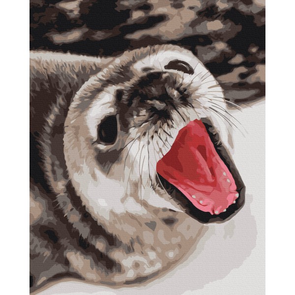 Тюленячі позіхання © Анна Соіна Тюленячі позіхання © Анна Соіна