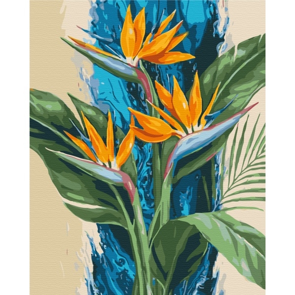 Тропічні стреліції