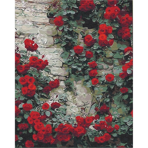 Картина за номерами Квіти біля будинку BS51406