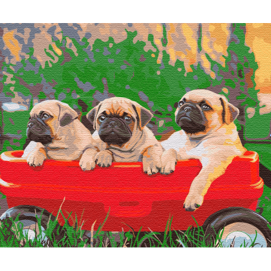 Картина по номерам Мопсы BS51457