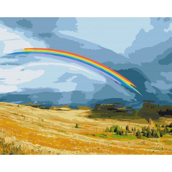 Картина по номерам Радужное поле BS52629