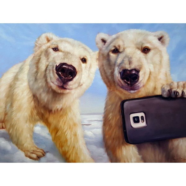 Полярограм ©Lucia Heffernan CN5361S