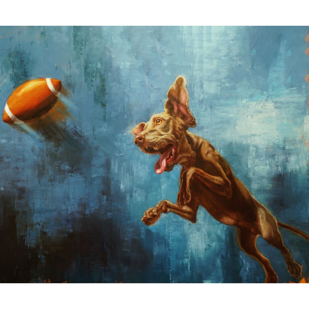 Довгий політ ©Lucia Heffernan CN5365L