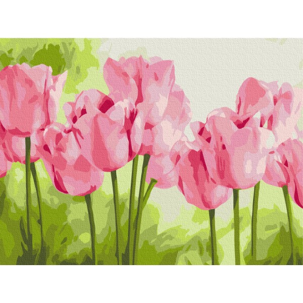 Картина за номерами Ніжні тюльпани RBS31435