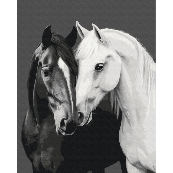 Чорне і біле серце Чорне і біле серце