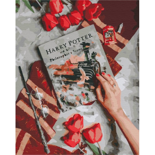 Картина за номерами Знайомство з магічним світом Гаррі