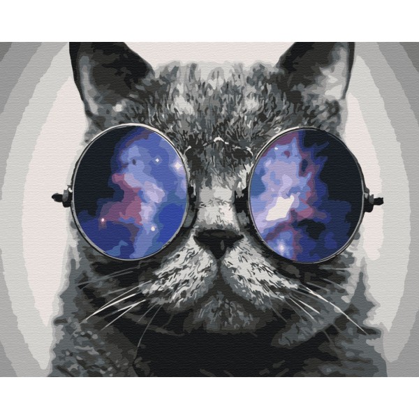 Картина за номерами Котик на Маямі BS29637