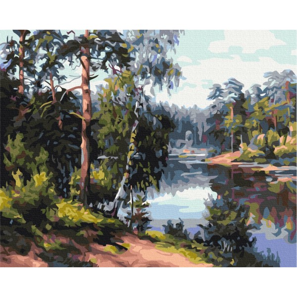 Картина за номерами Мальовниче озеро в лісі BS51969