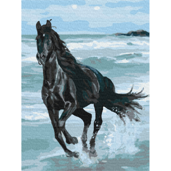 Картина за номерами Чорний кінь BS29330