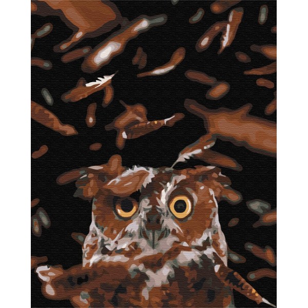 Картина за номерами Розумна сова BS39947