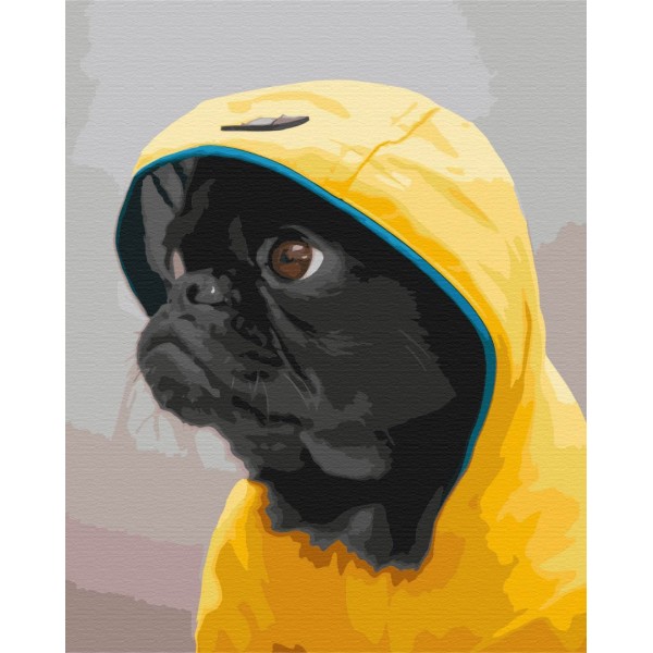 Картина за номерами Мопс в худі BS52614