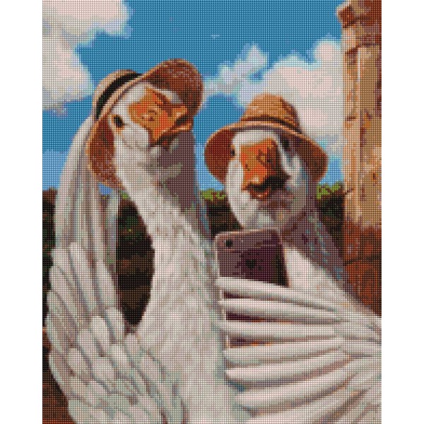 Алмазна мозаїка Селфі гусочок ©Lucia Heffernan DBS1215