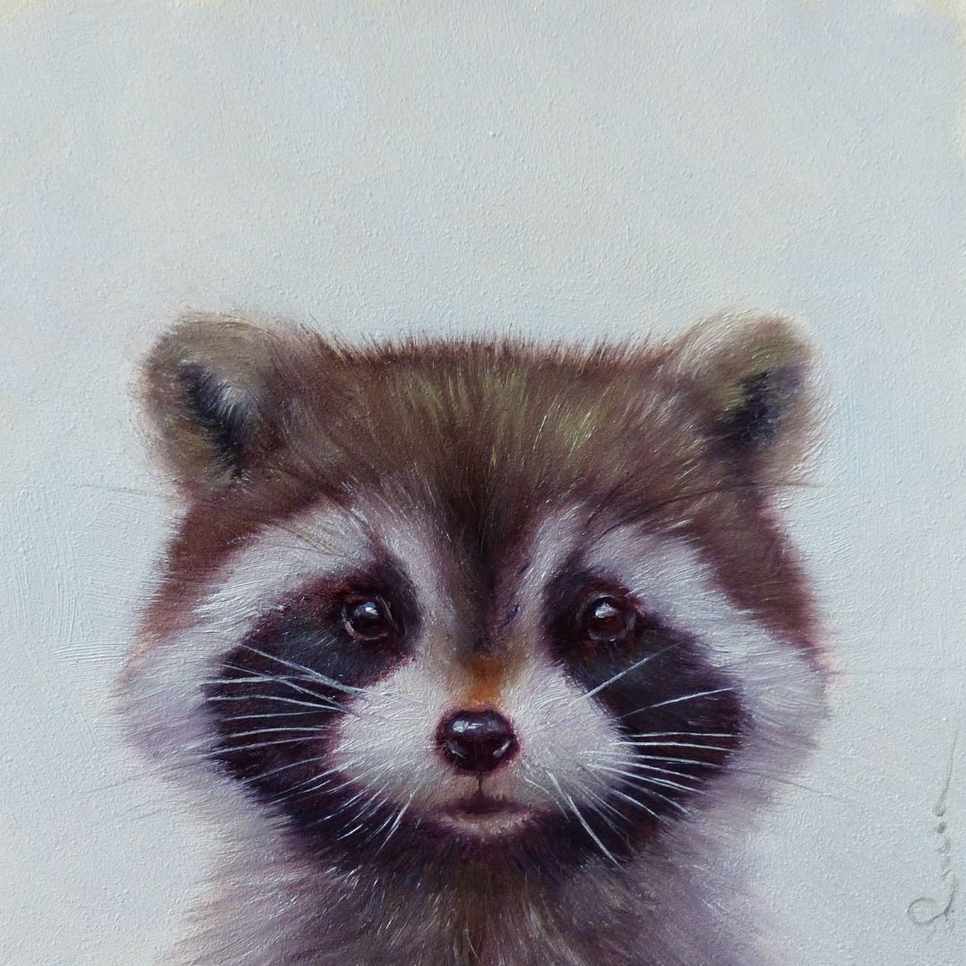Єнотик ©Lucia Heffernan CN53300L