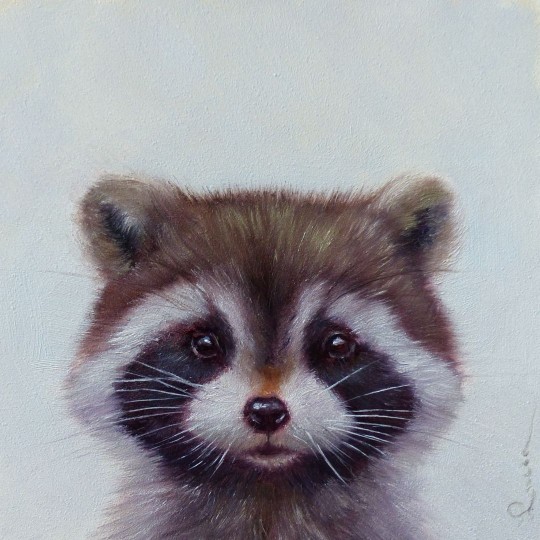 Єнотик ©Lucia Heffernan CN53300L