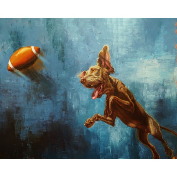 Довгий політ ©Lucia Heffernan CN5365M