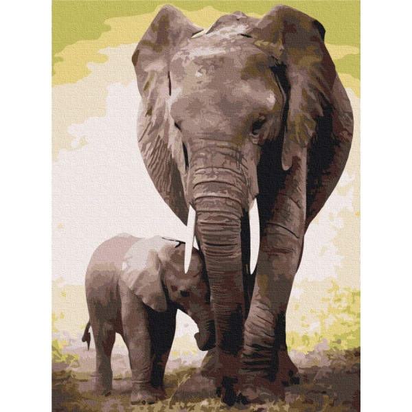 Перші дні слоненя