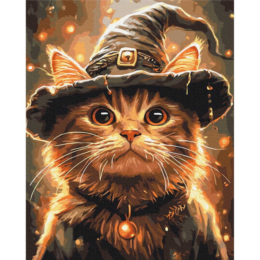 Котик маг