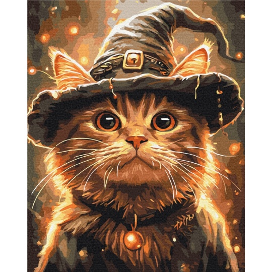 Котик маг
