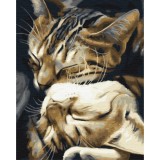 Картина за номерами Сплячі котики BS29747