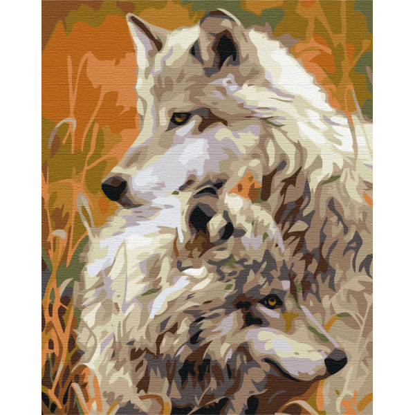 Картина по номерам Пара степных волков BS51850