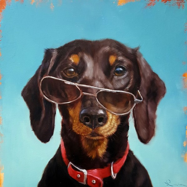 Пан Pancho ©Lucia Heffernan CN53310M