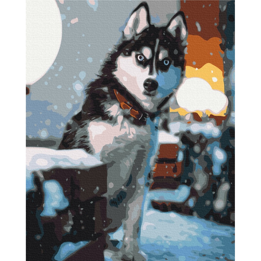 Допитливий хаскі