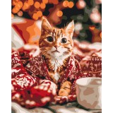 Муркотіння Різдва