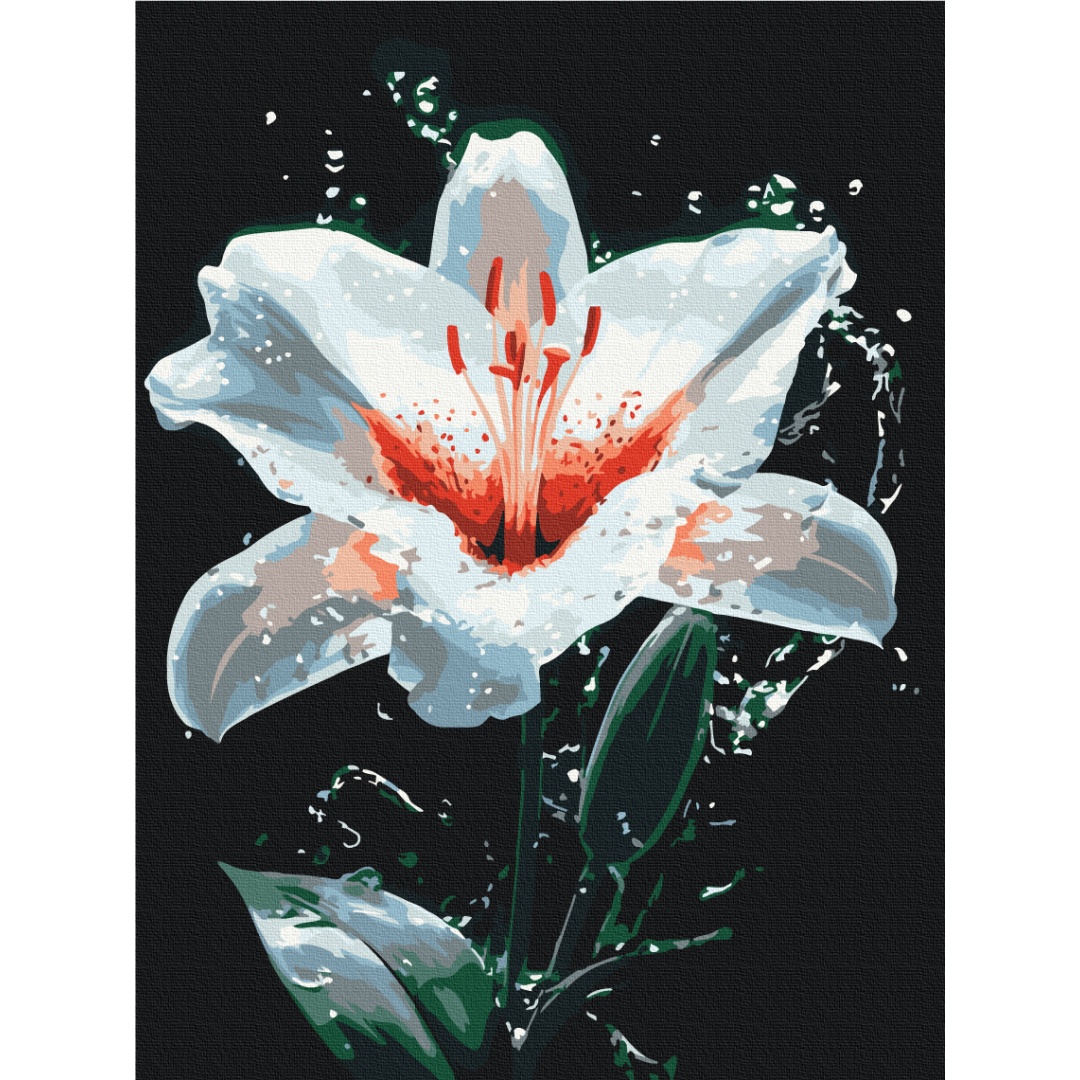 Сяйво лілії