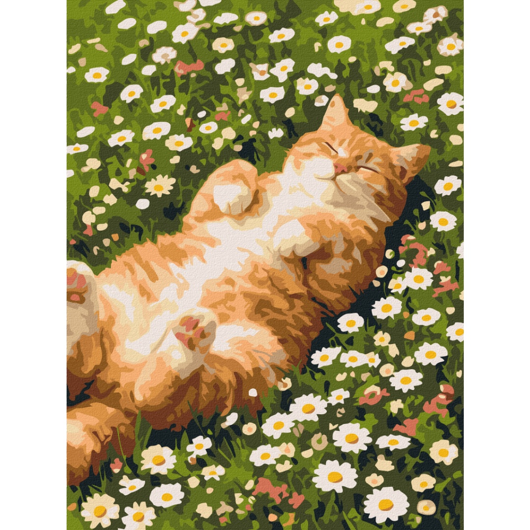 Котик у ромашках