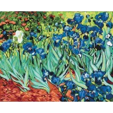 Картина за номерами Іриси. Ван Гог BS51339