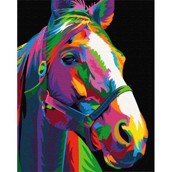 Картина за номерами Веселковий скакун BS51448