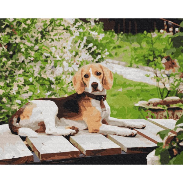 Картина по номерам Длинноухий друг BS52630