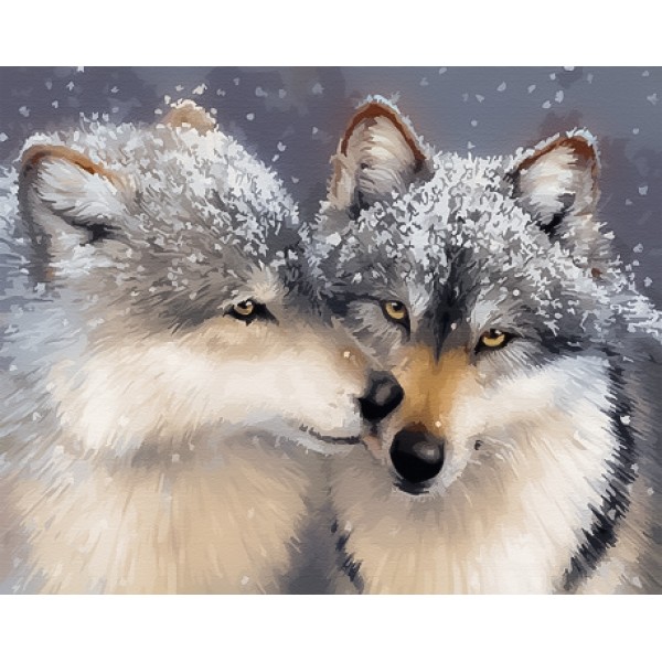 Картина по номерам Нежное чувство BS27710