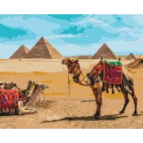 Картина за номерами Єгипетський колорит BS52718